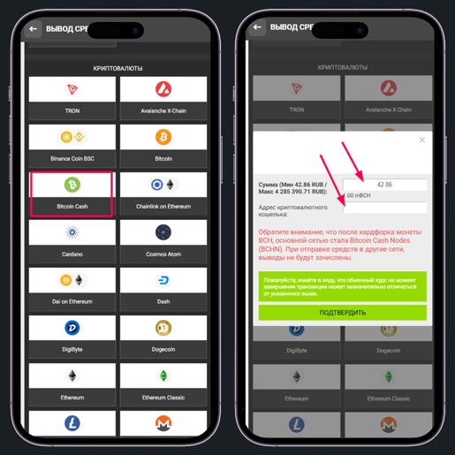 Страница для вывода денег 